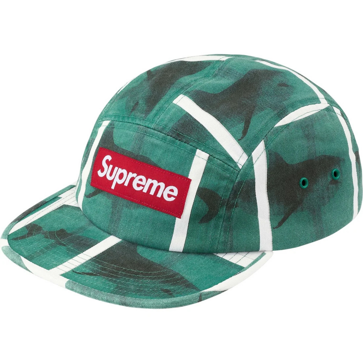 Supreme Damien Hirst Camp Cap