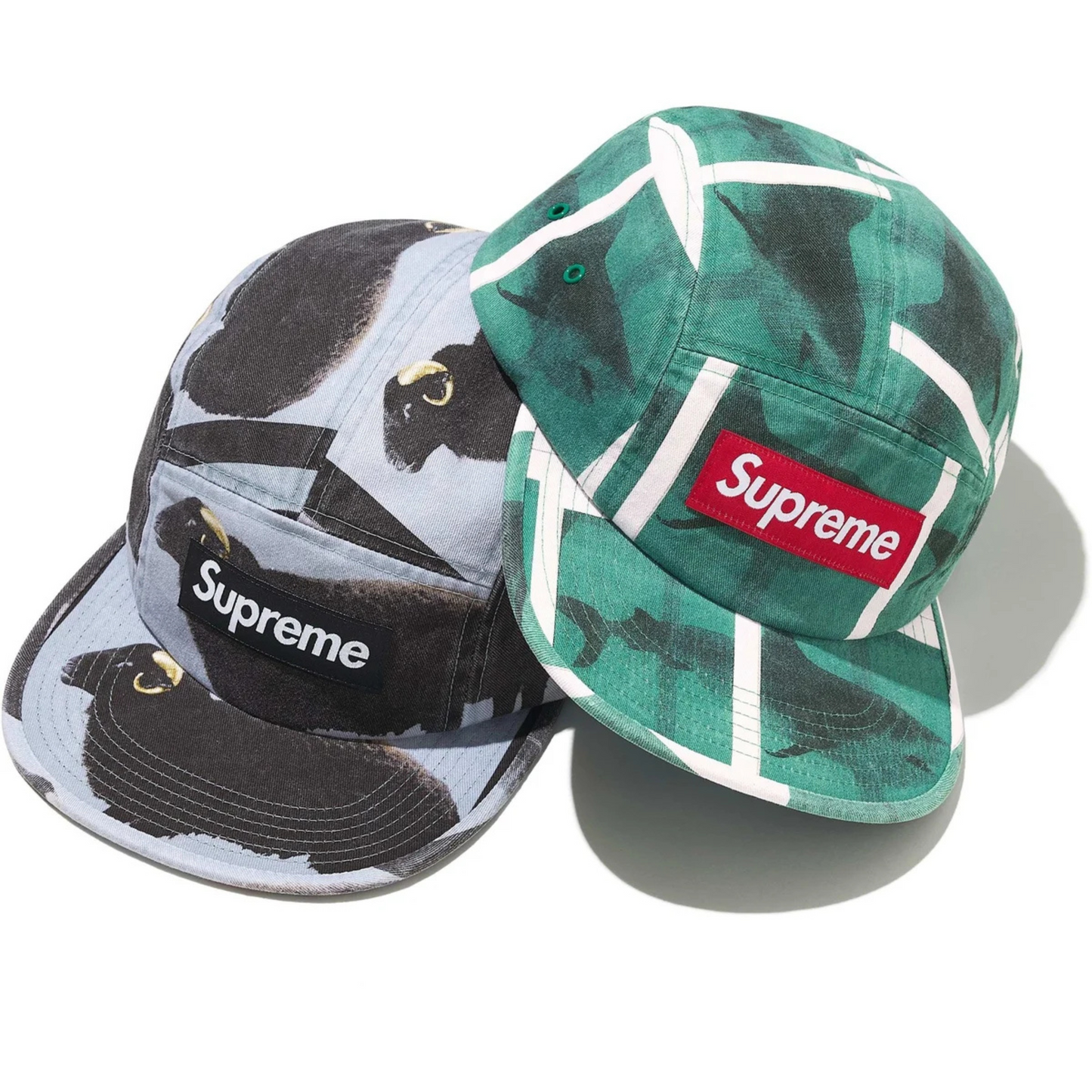 Supreme Damien Hirst Camp Cap